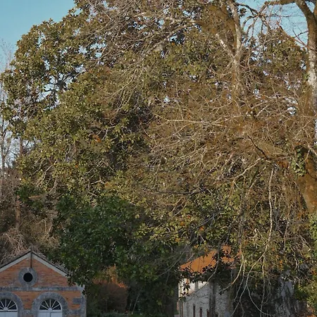 La Selva فندق مبيت وإفطار *