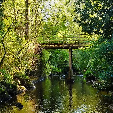 La Selva Busserolles